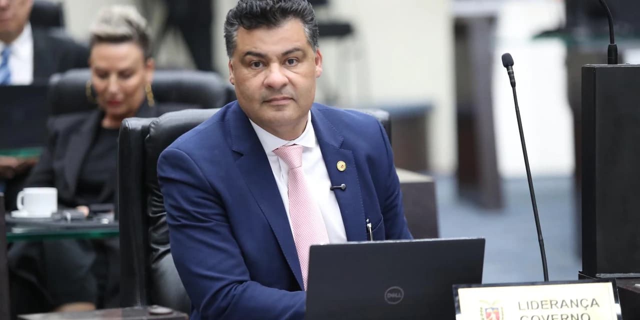 Rangel propõe lei que permite coleta e comercialização sustentável do pinhão em áreas de Reserva Legal no Paraná