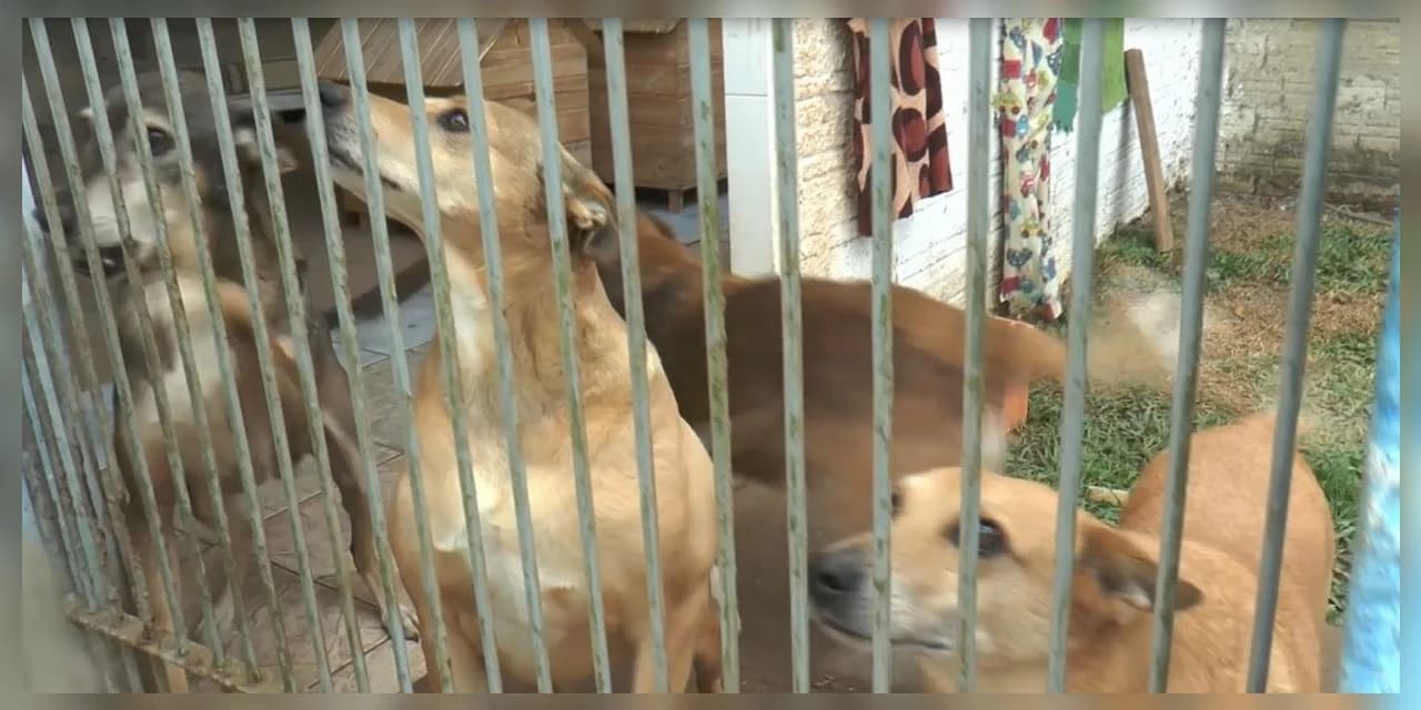Apasfa de Prudentópolis  fatura R$ 5 mil no Nota Paraná