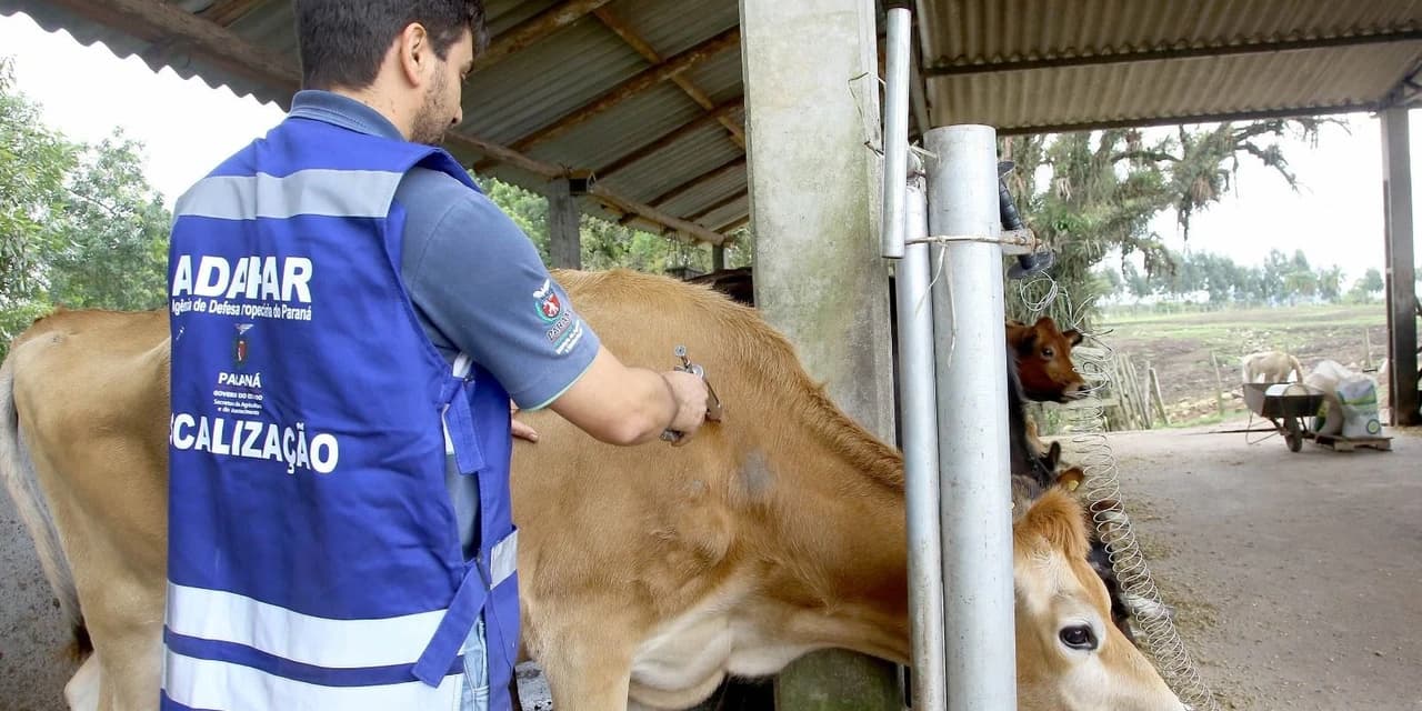 Adapar mantém vigilância e reforça importância da vacinação contra raiva no campo