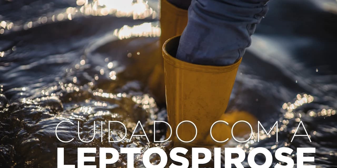 Saúde alerta: leptospirose é doença grave e risco aumenta após chuvas