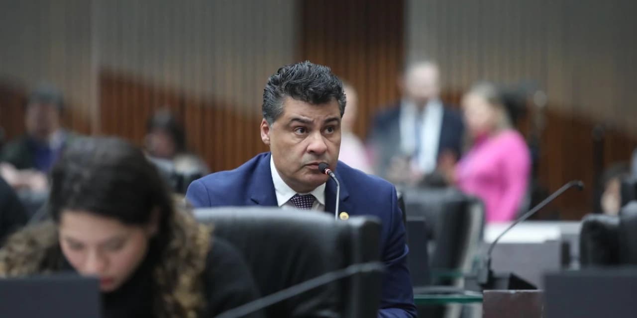 Proposta do deputado Marcelo Rangel  quer regulamentar sepultamento de cães e gatos em cemitérios