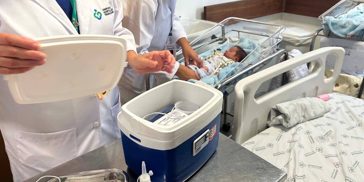 Nirsevimabe já protege 1,1 mil bebês prematuros contra infecções respiratórias