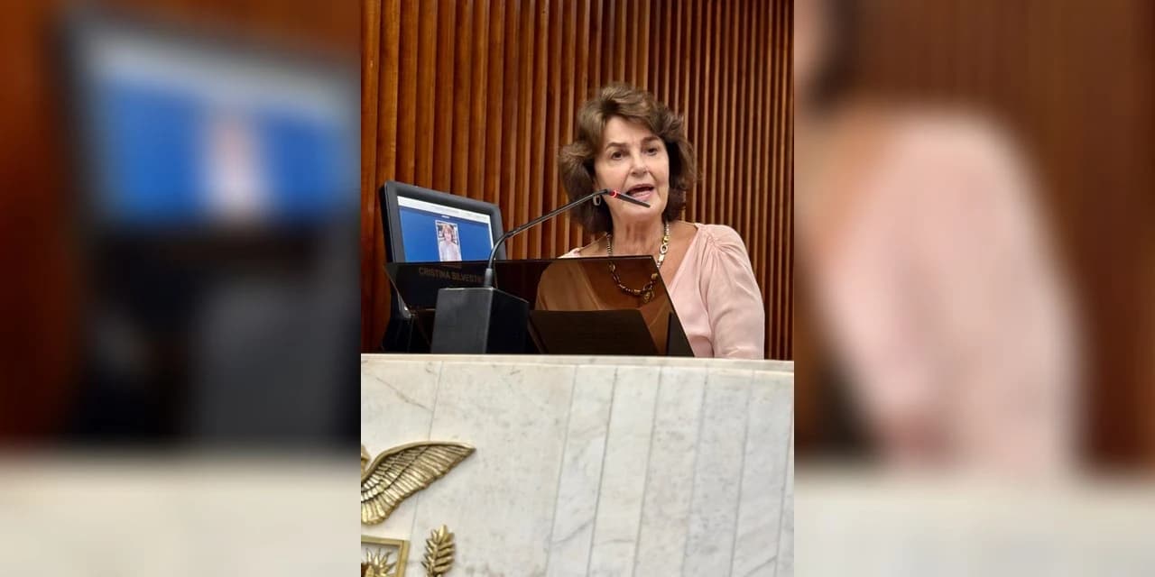 Cristina Silvestri denuncia crise no fornecimento de energia elétrica e cobra providências da Copel