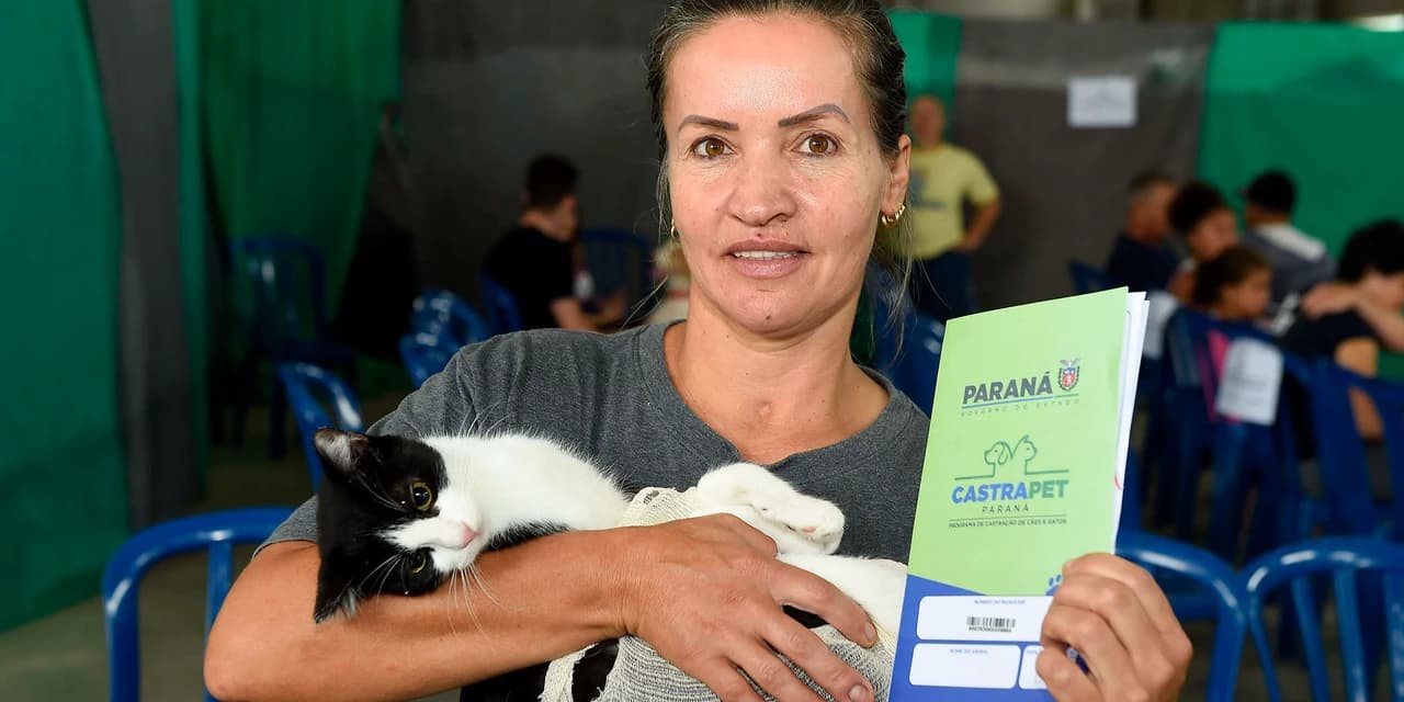 Estado amplia vagas de castração de gatos para combater a esporotricose