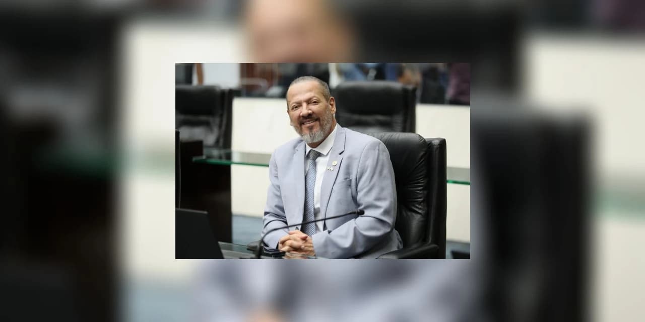 Projeto de lei quer obrigar agressor a bancar todo o tratamento de animal vítima de maus-tratos