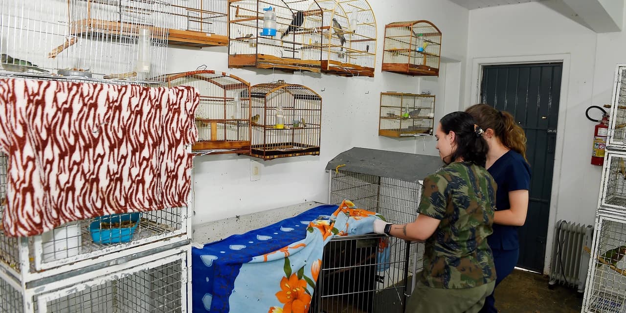 IAT reforça parceria com a Unicentro para atendimento à fauna silvestre