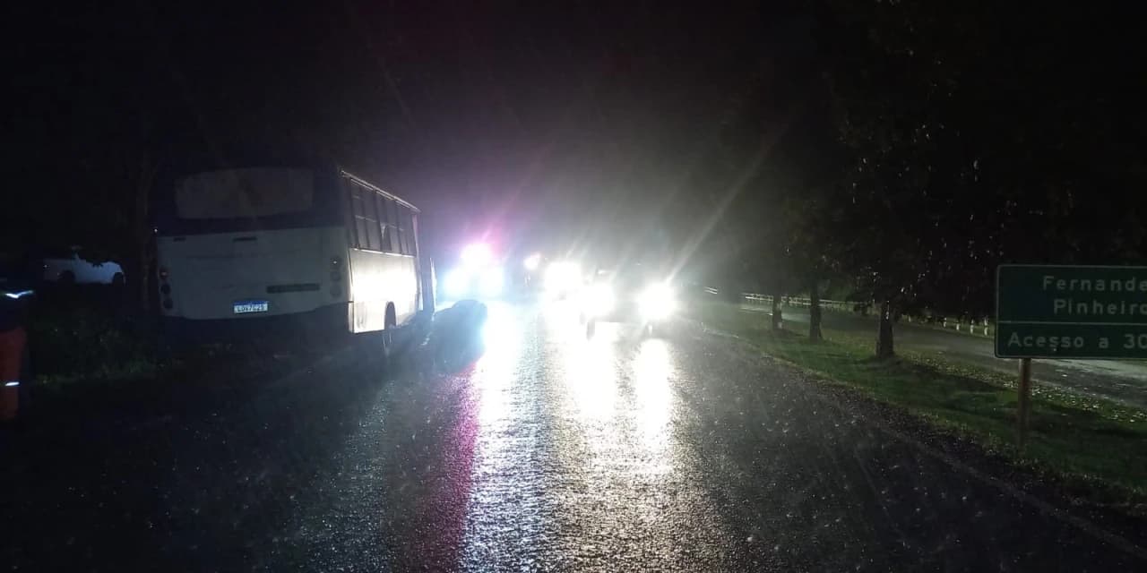 Ônibus atropela cavalo na PR-438 em Fernandes Pinheiro