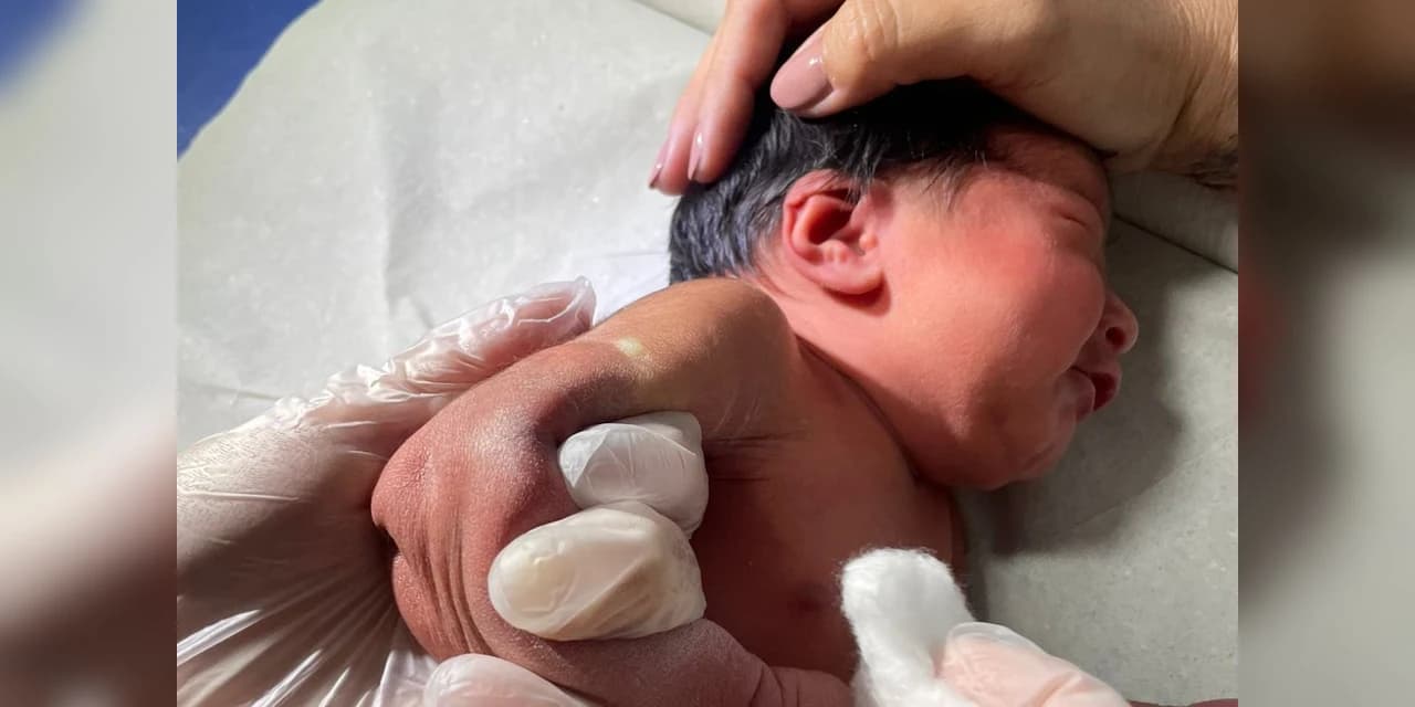 Paraná amplia vacinação da BCG em maternidades e protege bebês contra a tuberculose