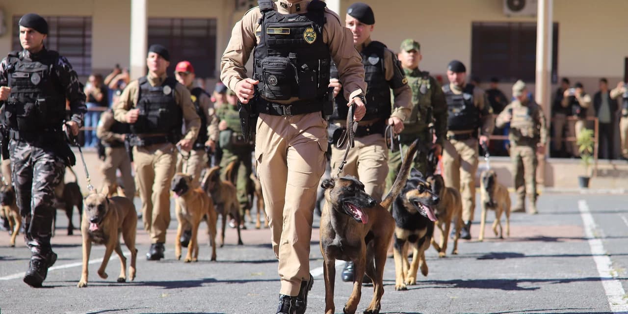 PMPR forma 34 policiais para uso de cães em operações e patrulhamentos