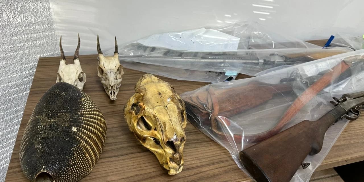 PCPR prende 23 suspeitos por caça de animais silvestres no Paraná, Santa Catarina e Mato Grosso