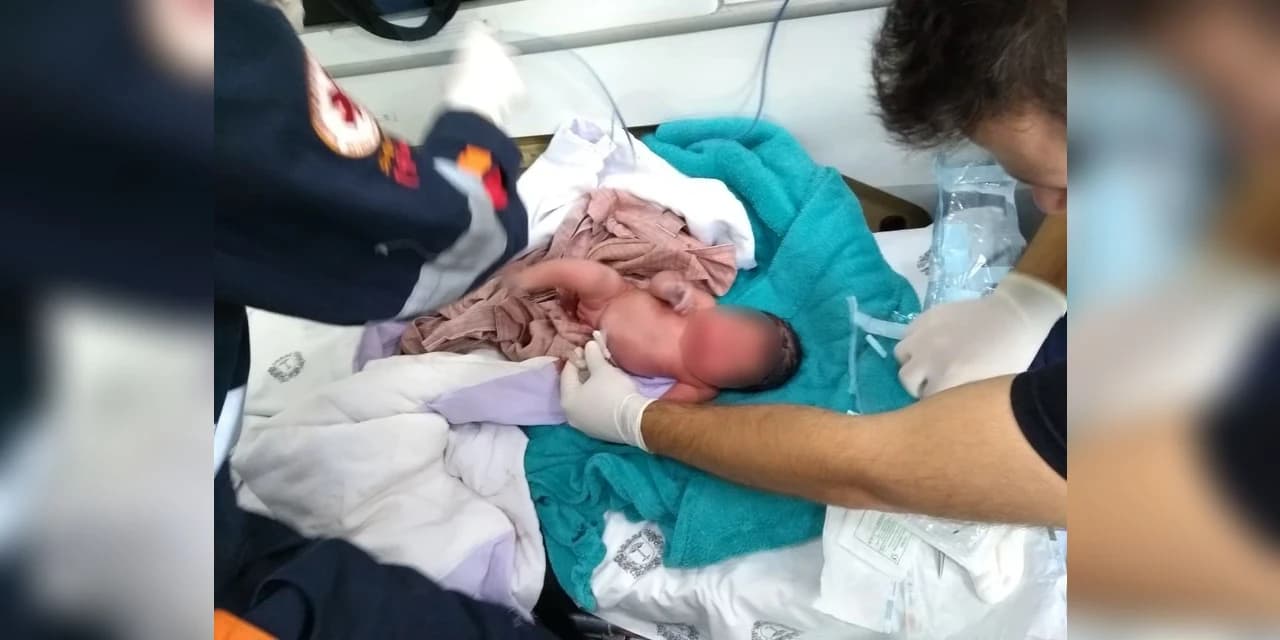 Após ouvir gritos de mulher, moradora encontra recém-nascido abandonado em rua de Curitiba
