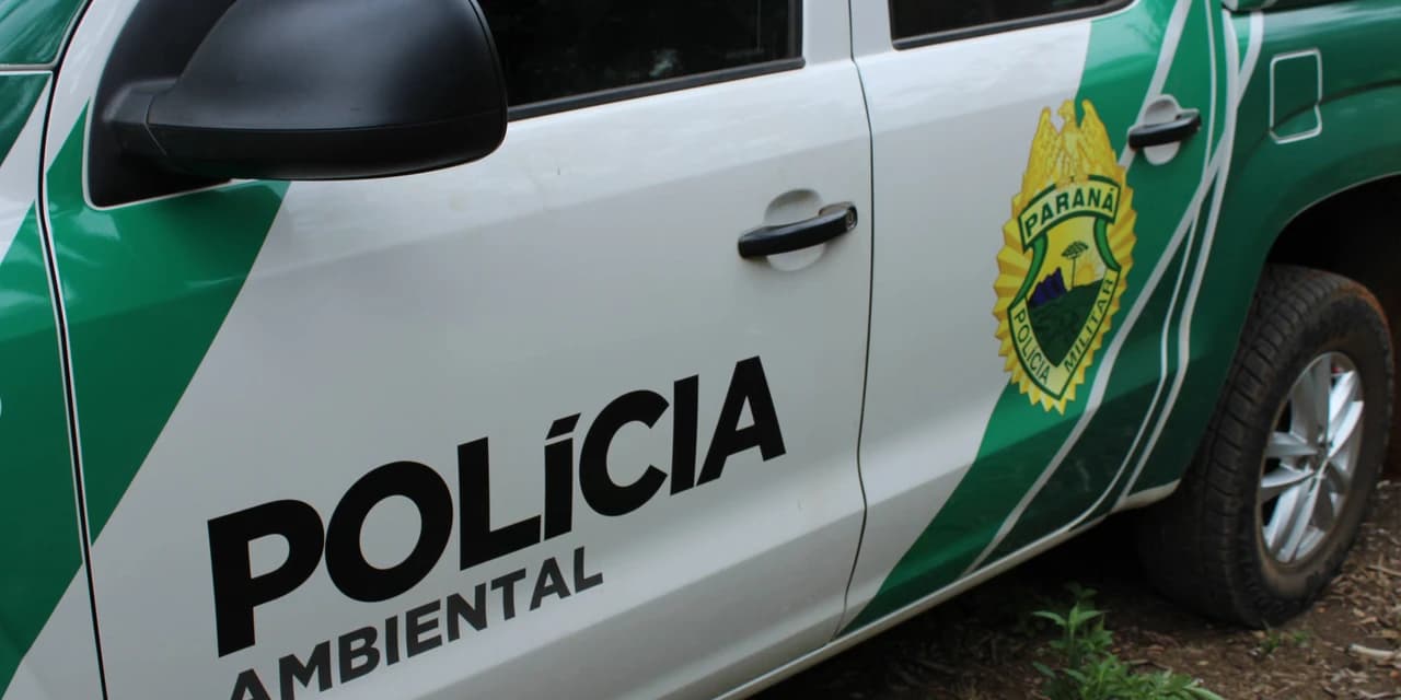 Homem é morto após apontar espingarda para a Polícia Ambiental