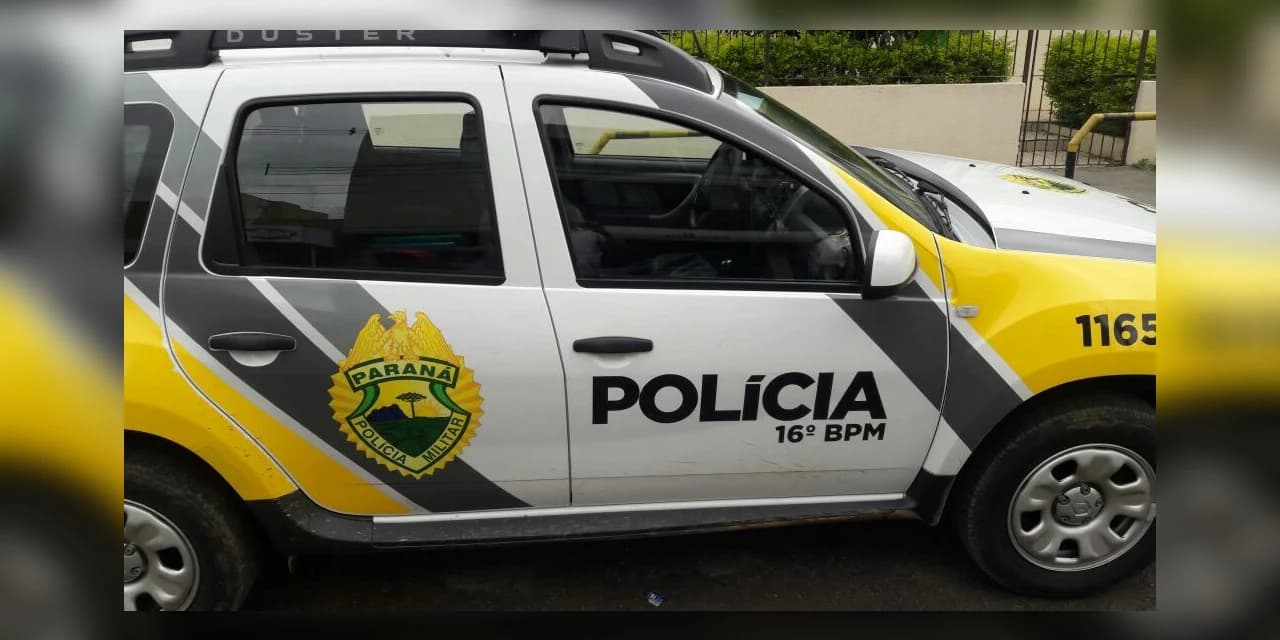 Furto simples, lesão corporal, cumprimento de mandado, ocorrências de sábado