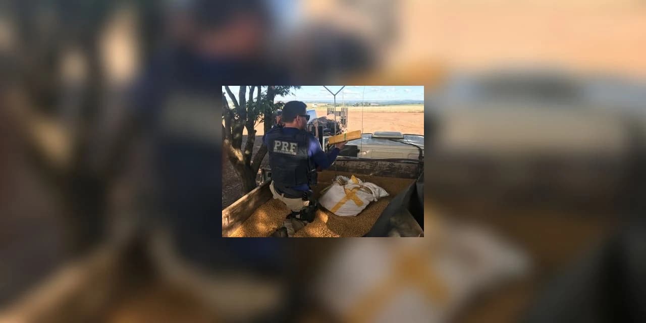 PRF apreende 1,4 tonelada de maconha em caminhão roubado