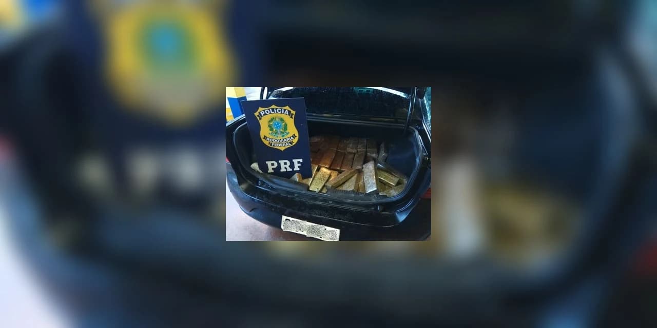 PRF apreende fuzil, munições e 400 kg de maconha