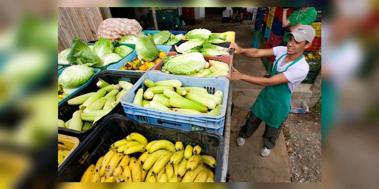 Escolas estaduais já receberam 2,7 mil toneladas de alimentos