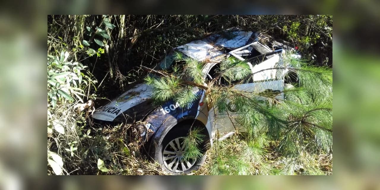 Motorista perde controle e viatura do Instituto de Criminalística capota em rodovia