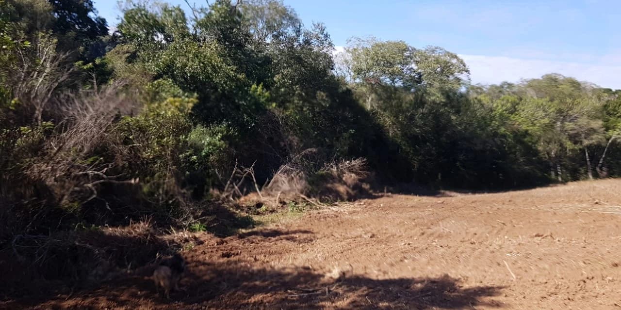 Policia ambiental encontrou área de desmatamento em Castro