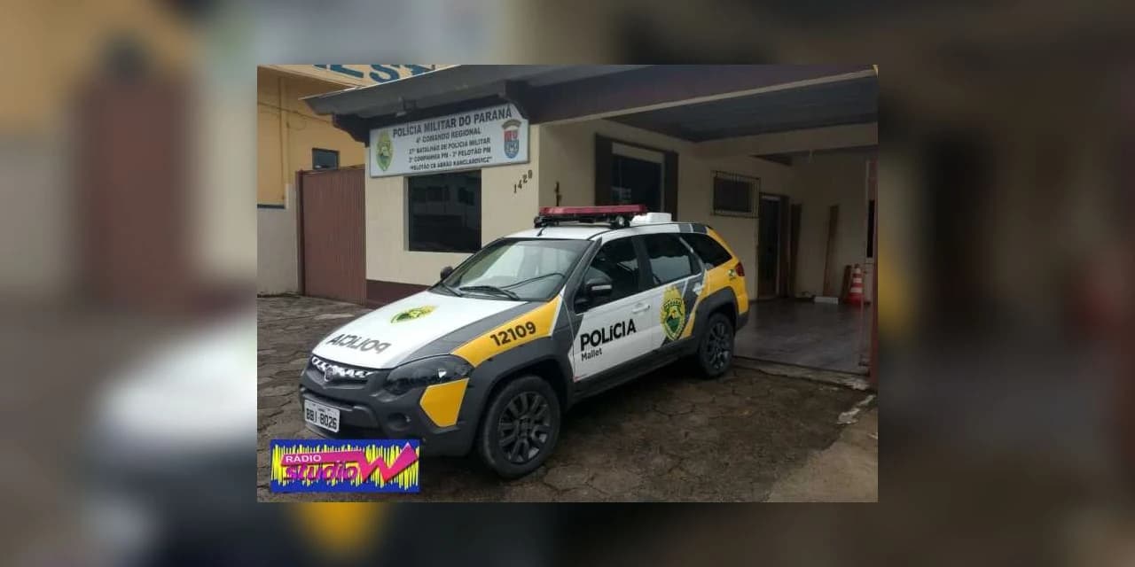 Porco é abatido e furtado de chácara em Mallet