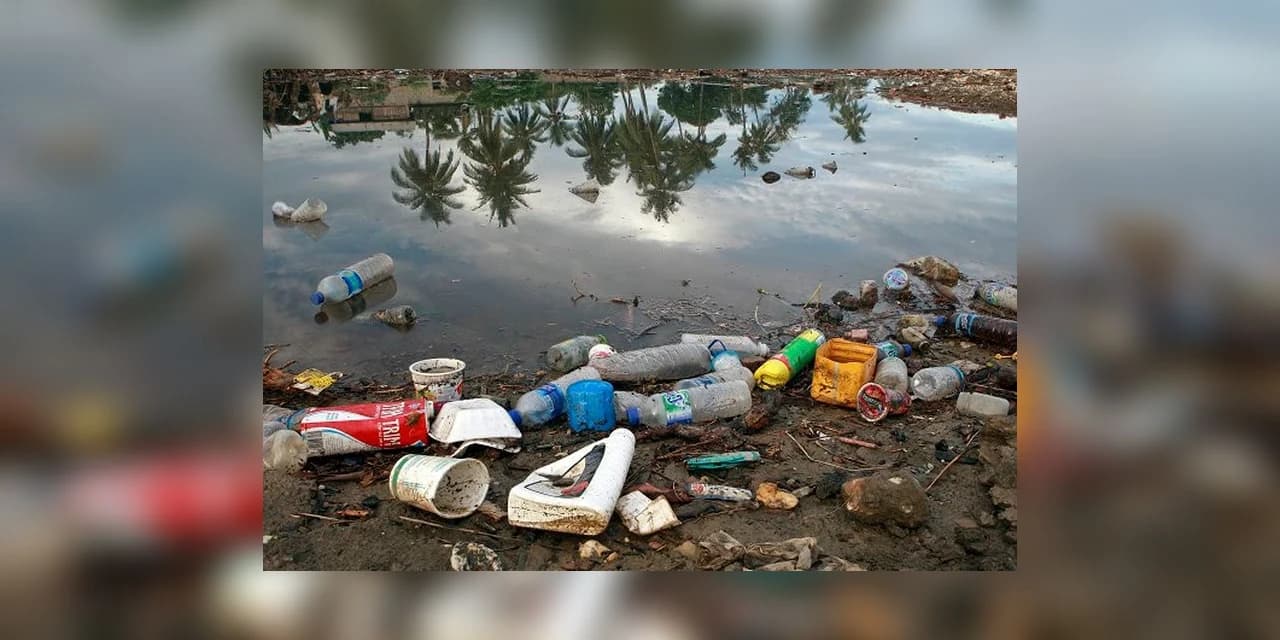 Poluição plástica é tema do Dia Mundial do Meio Ambiente 2018