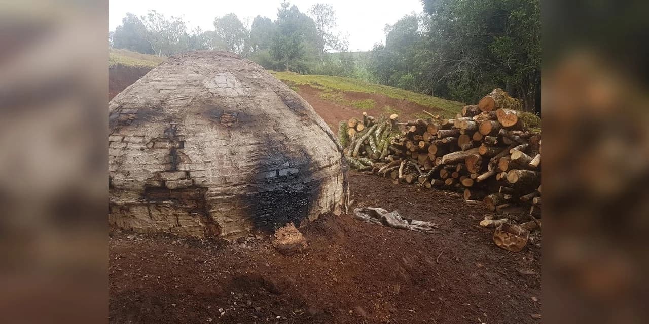 Policia Ambiental encontra funcionamento de fornos de carvão sem autorização.