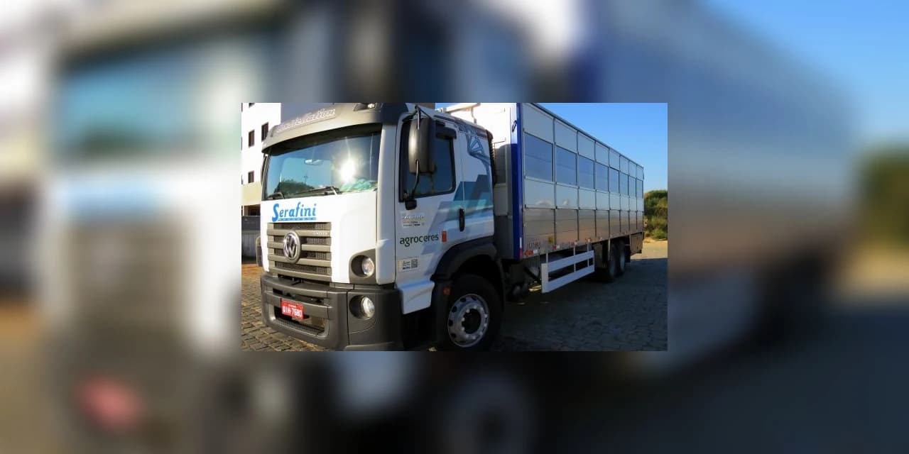 Caminhoneiro é encontrado morto dentro de caminhão em Palmeira