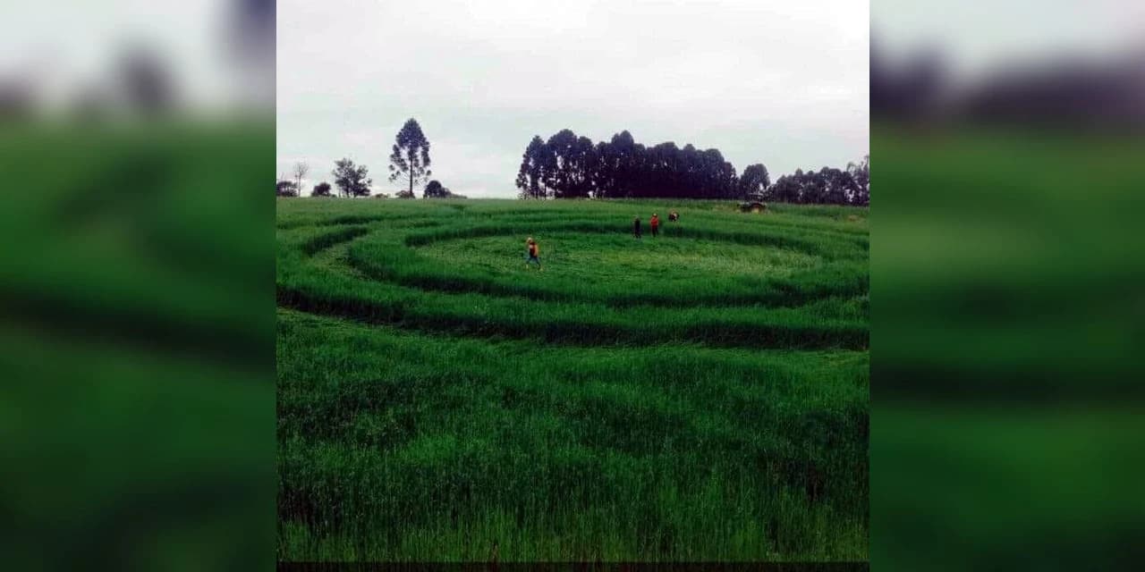 Suposto agroglifo aparece no interior de Prudentópolis