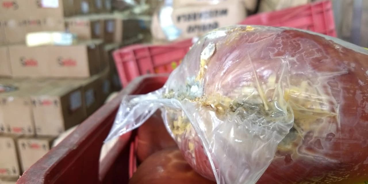 Polícia Civil interdita depósito com pelo menos 5 toneladas de alimentos vencidos ou adulterados em Curitiba