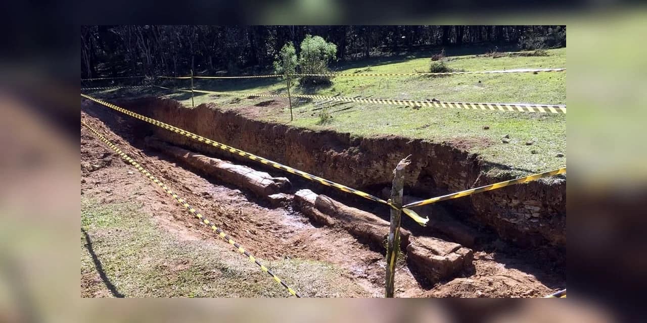 Pinheiro de pedra, uma das lendas de Prudentópolis
