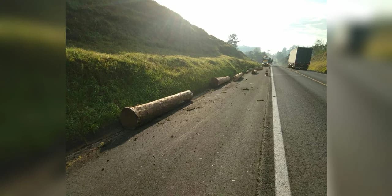 PRF apreende madeira nativa durante atendimento de acidente em Prudentópolis