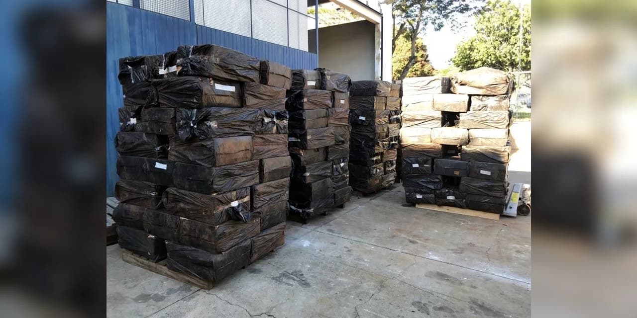 Polícia Federal apreende cigarros contrabandeados às margens do Lago de Itaipu.