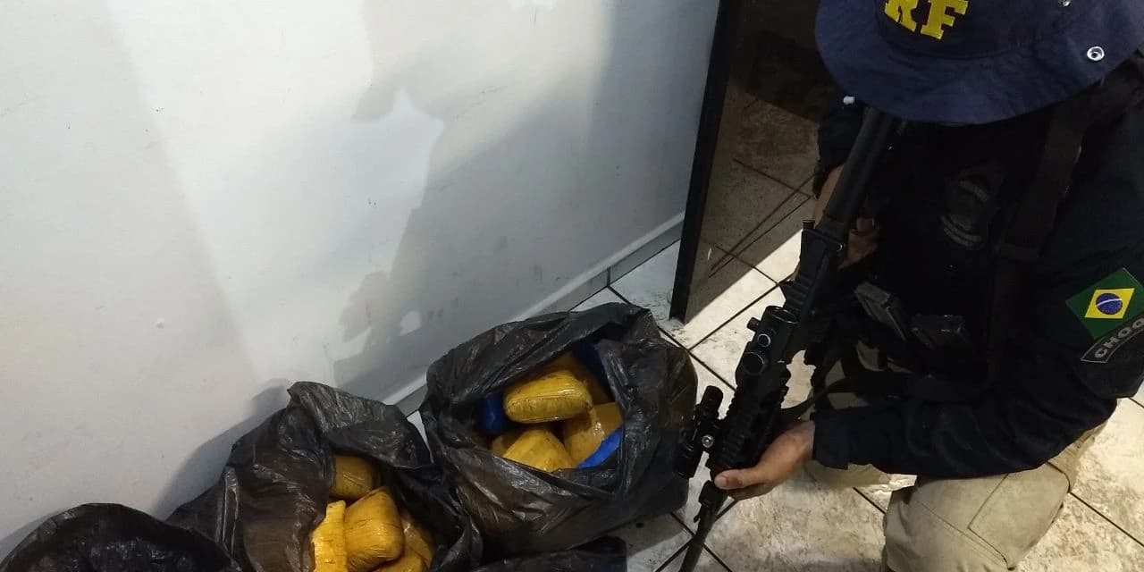 PRF faz apreensão da supermaconha SKUNK
