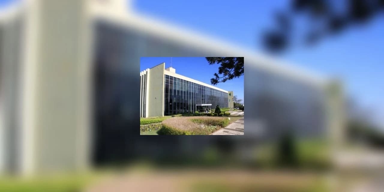 Concurso Público da prefeitura de Guarapuava vai contratar profissionais em 53 cargos