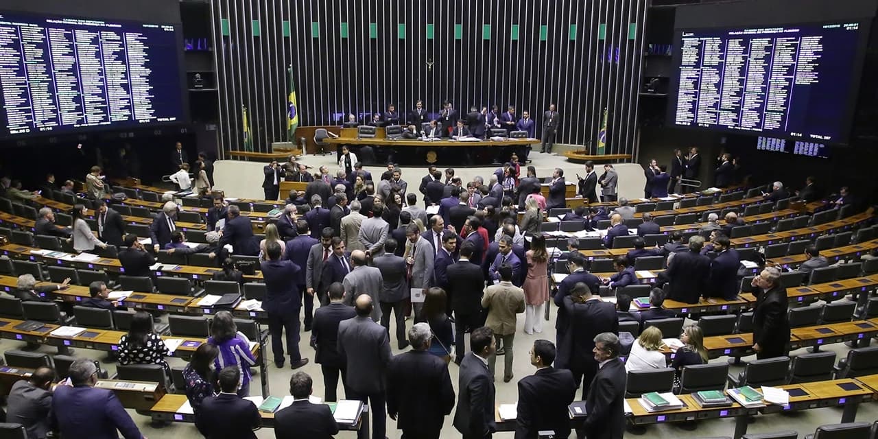 Câmara dos Deputados aumenta pena de maus-tratos contra animais e zoofilia
