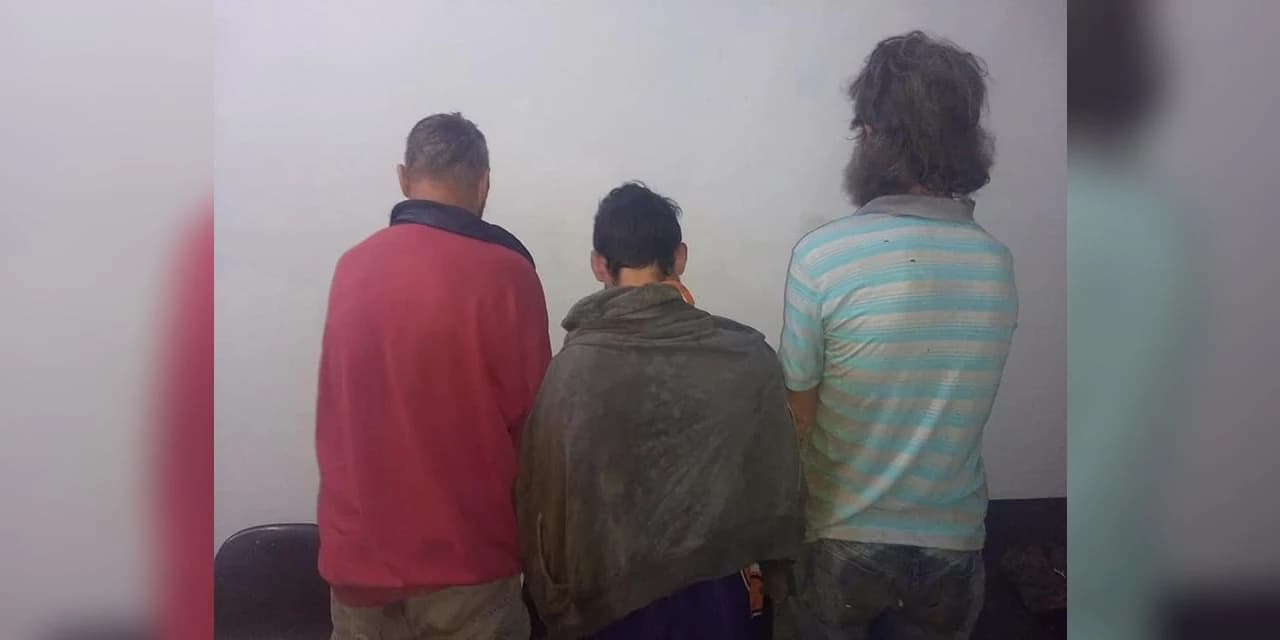 Polícia de Irati encontra plantação de maconha e prende foragido da cadeia de Prudentópolis
