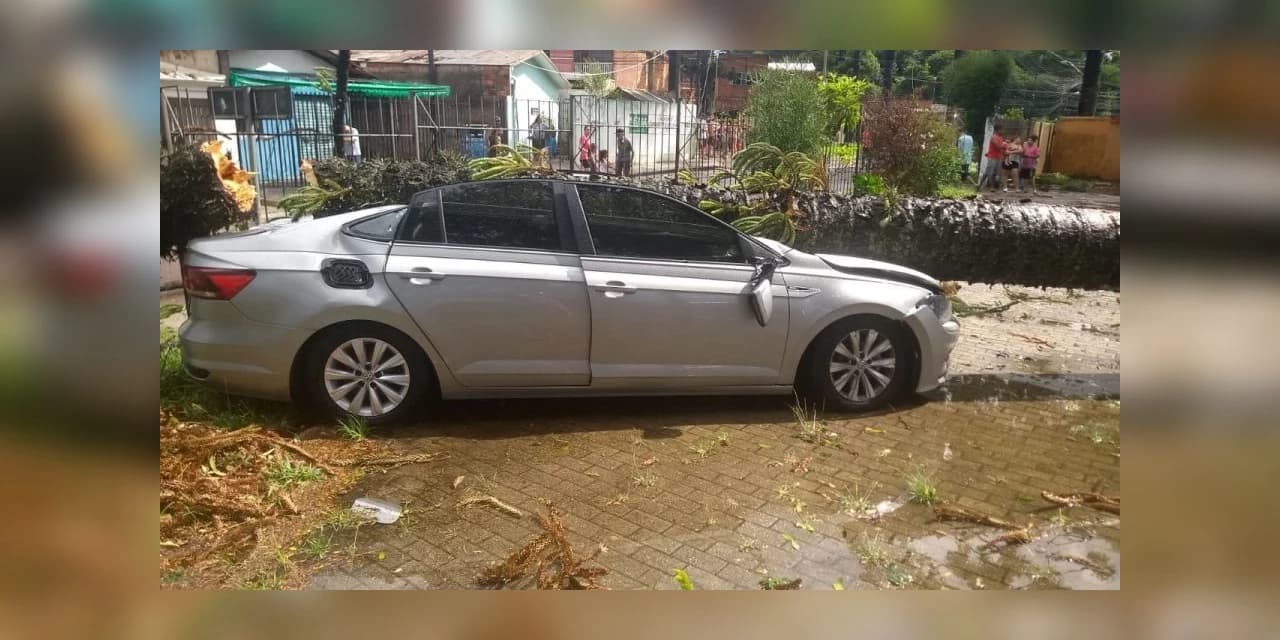 Chuva derruba árvore e carro de funcionária é destruído em unidade de saúde de Curitiba
