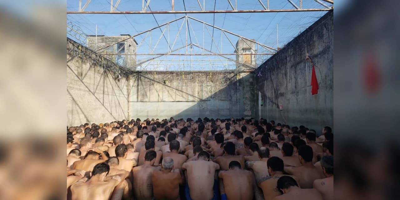 ‘Bate grade’ na cadeia já apreendeu cerca de 100 celulares em Guarapuava