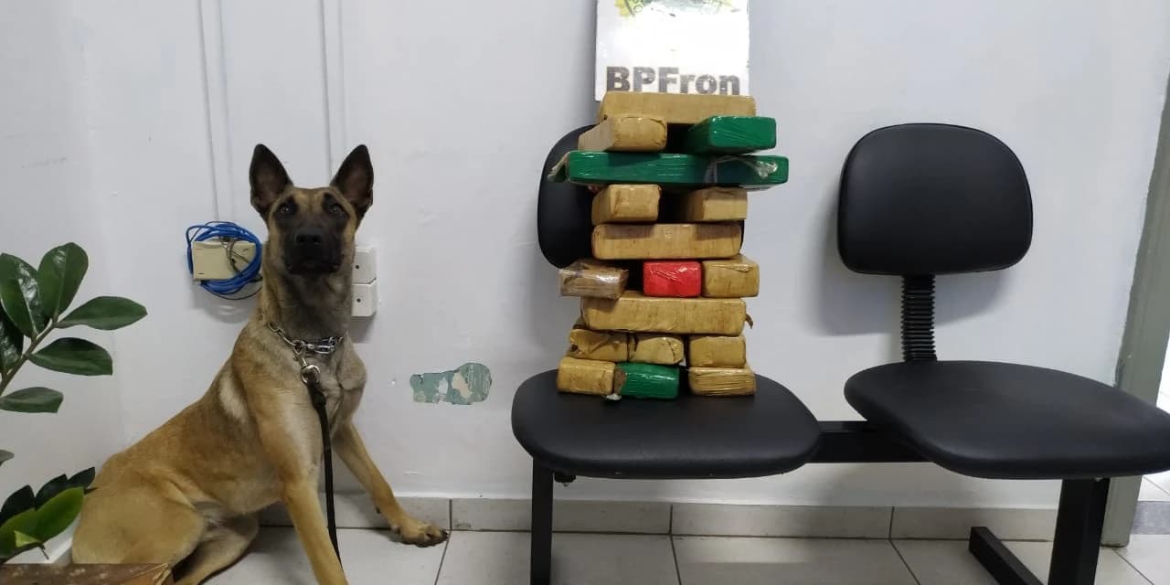 BPFRON apreende droga em abordagem em Laranjeiras do Sul