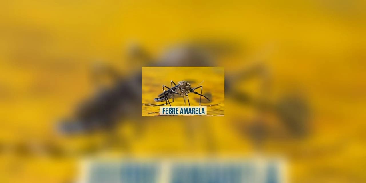 Paraná segue em alerta contra a febre amarela