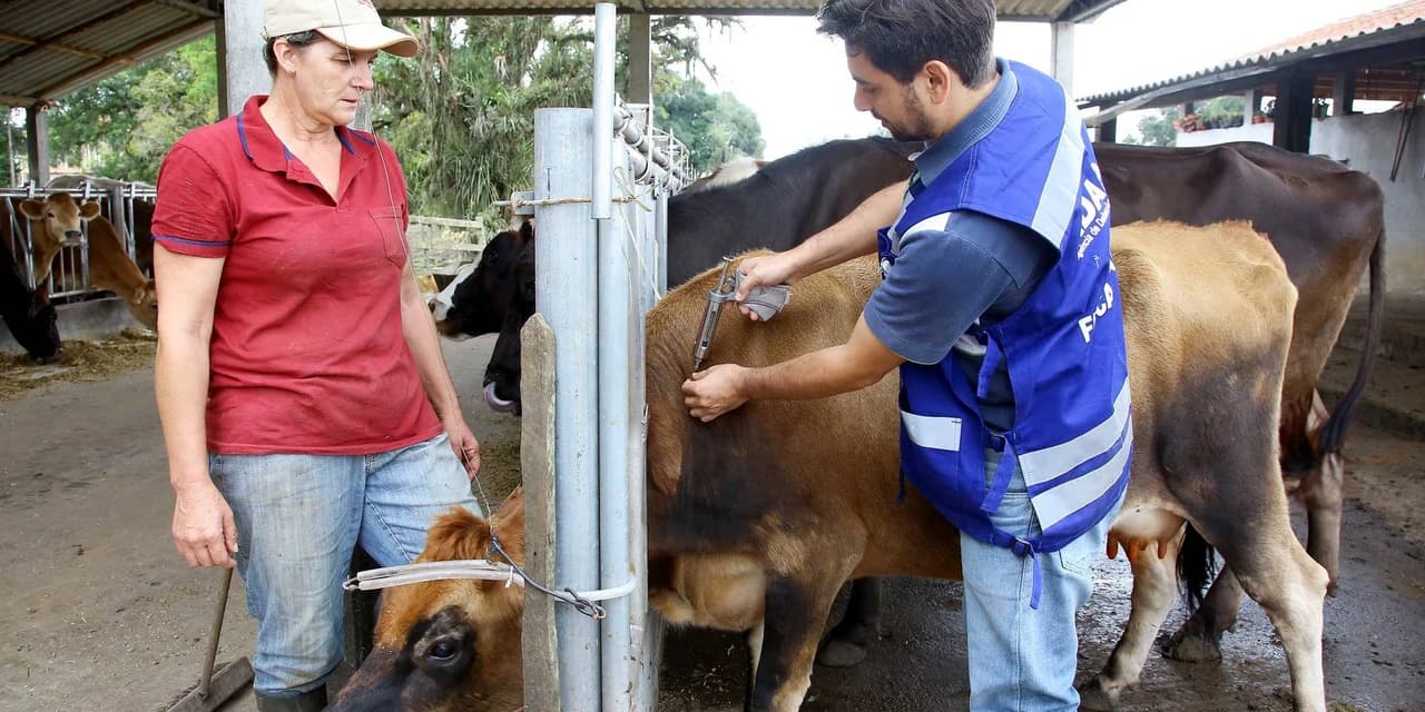 Paraná inicia os fóruns sobre o fim da vacinação contra aftosa