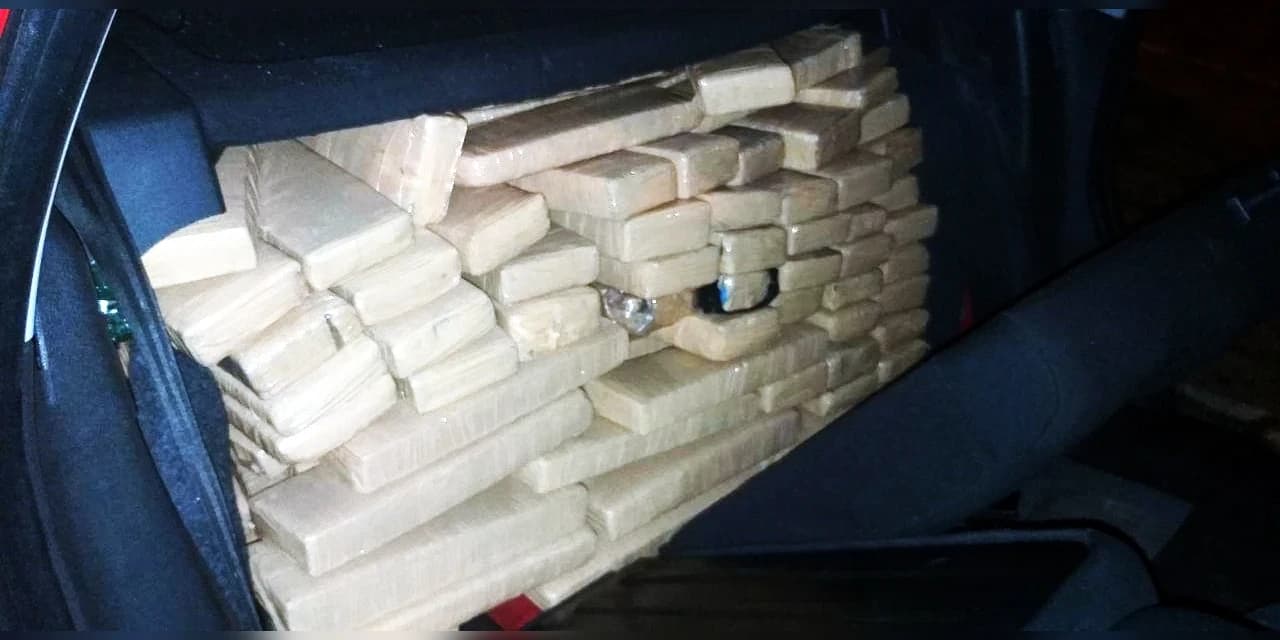 A Polícia Civil do Paraná (PCPR) apreendeu aproximadamente 262 quilos de maconha, nesta madrugada de quarta-feira (12), no município de Guarapuava.