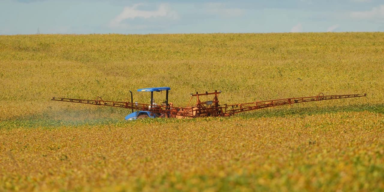 Manejo Integrado de Pragas garante mais renda ao produtor