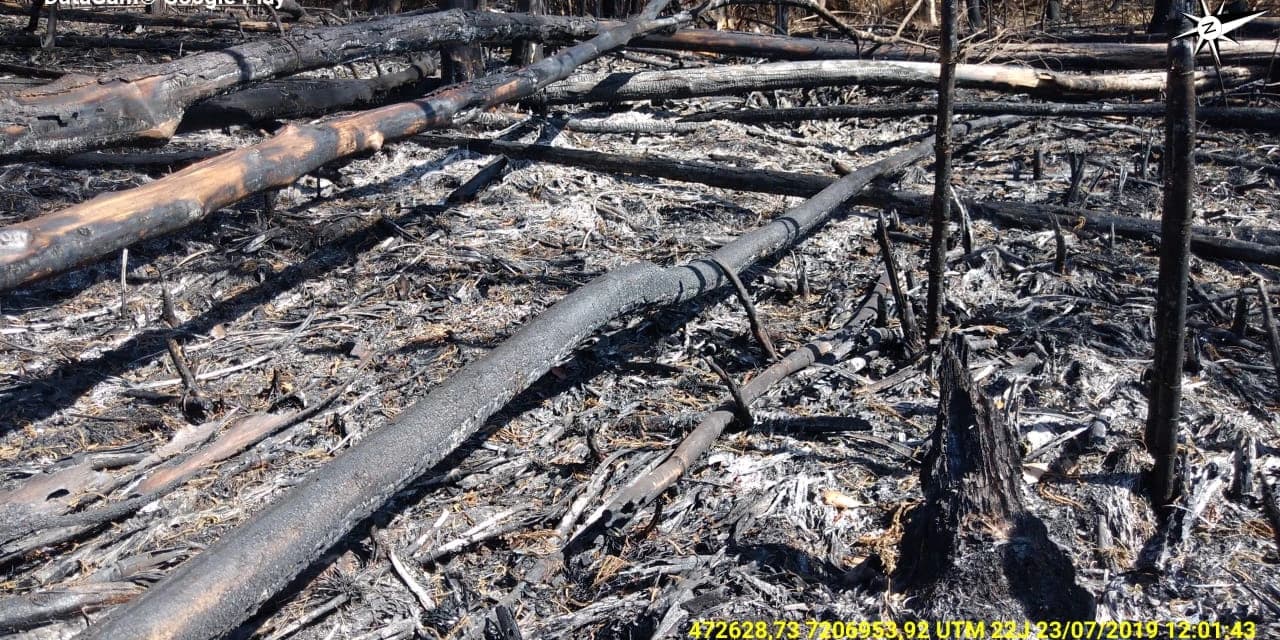 Polícia Ambiental autua proprietário de uma área na APA da Serra da Esperança