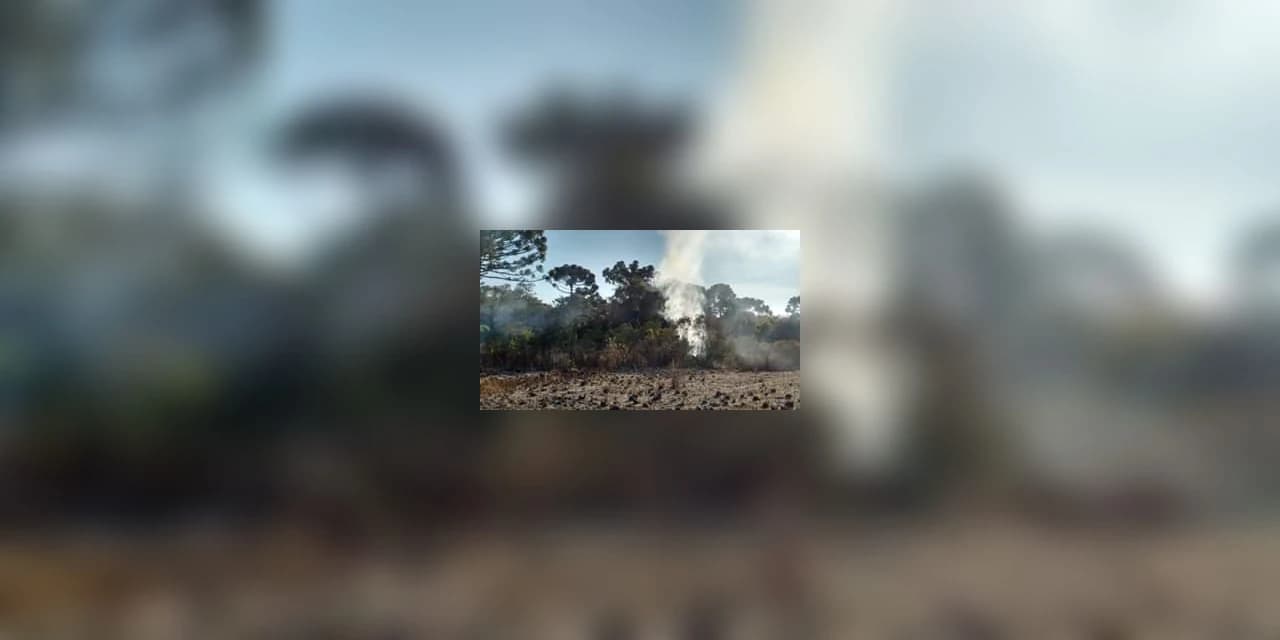 Polícia ambiental prendeu em flagrante uma pessoa que provocou incêndio em uma área de 7,15 hectares no município de Palmeira.