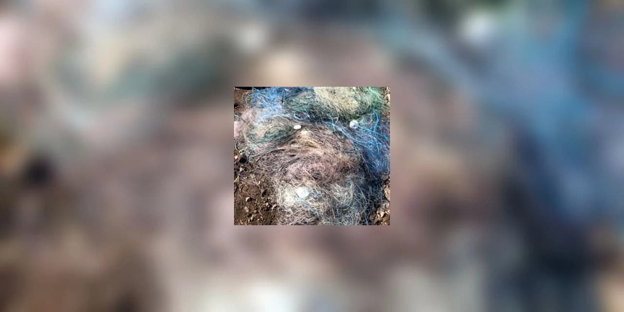 Material de pesca predatória foi apreendido em Candói