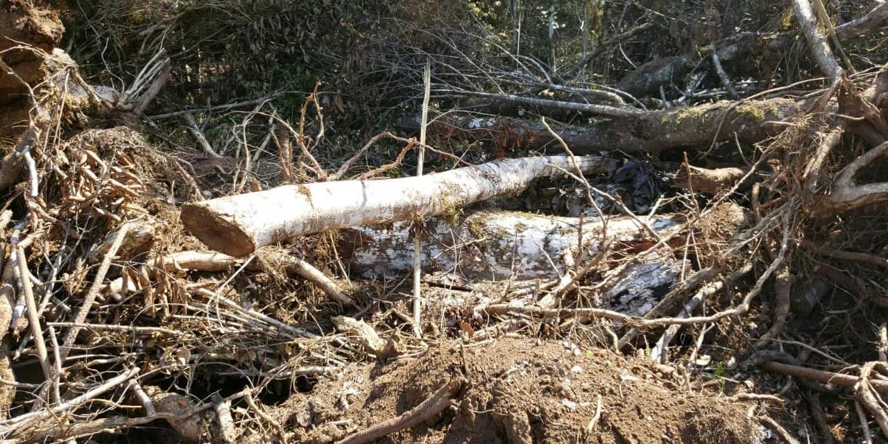 Policia Ambiental autua proprietário de uma área no município de Irati