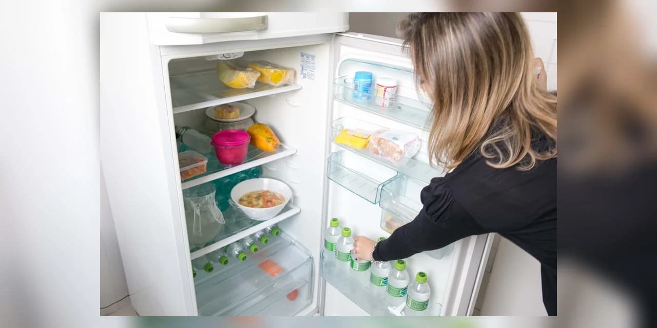 Geladeira pode representar até metade da conta de luz