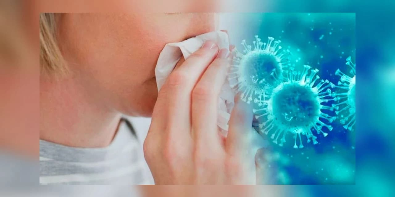 Influenza registra 672 casos no Paraná