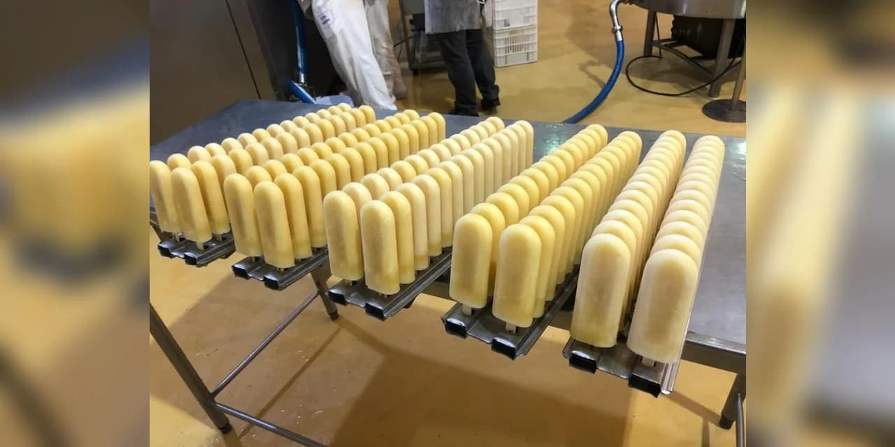 Empresas pernambucanas inventam picolé de cerveja