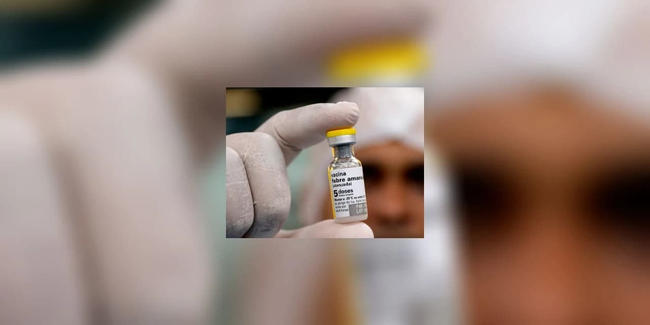 Paraná aumenta o índice de vacinação contra a febre amarela